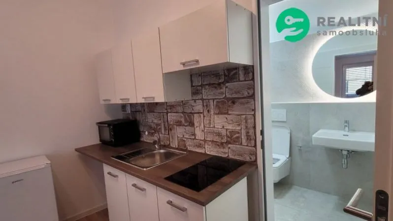 Prodej bytu 1+kk, Brno, Francouzská, 20 m2