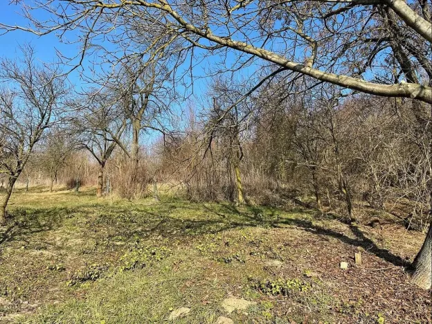 Prodej pozemku, Koryčany - Jestřabice, 1821 m2