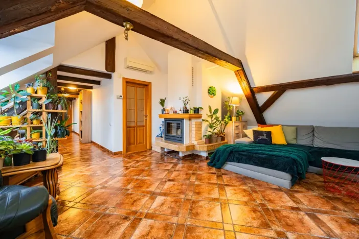 Prodej atypického bytu, Praha - Nové Město, Havlíčkova, 295 m2