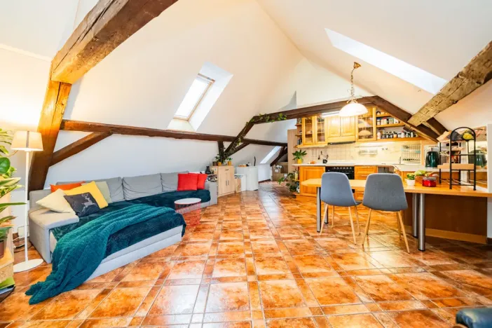 Prodej atypického bytu, Praha - Nové Město, Havlíčkova, 295 m2