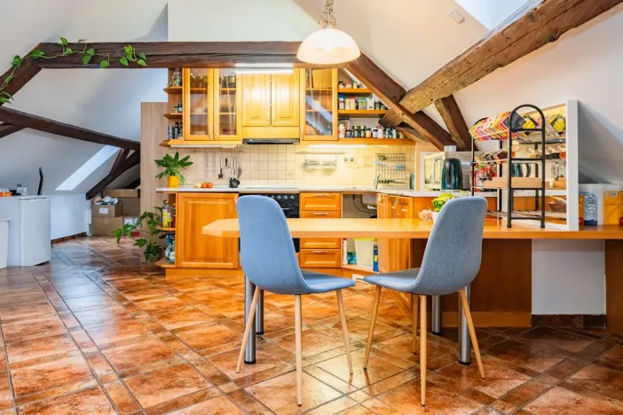 Prodej atypického bytu, Praha - Nové Město, Havlíčkova, 295 m2