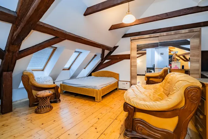 Prodej atypického bytu, Praha - Nové Město, Havlíčkova, 295 m2