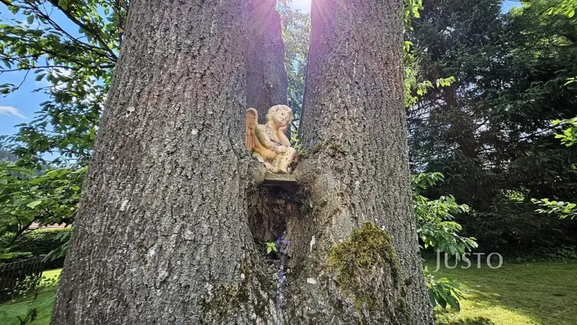 Prodej rodinného domu, Prachatice, Krumlovská, 363 m2