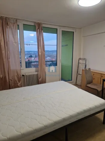 Pronájem bytu 1+kk, Praha, Vrážská, 25 m2