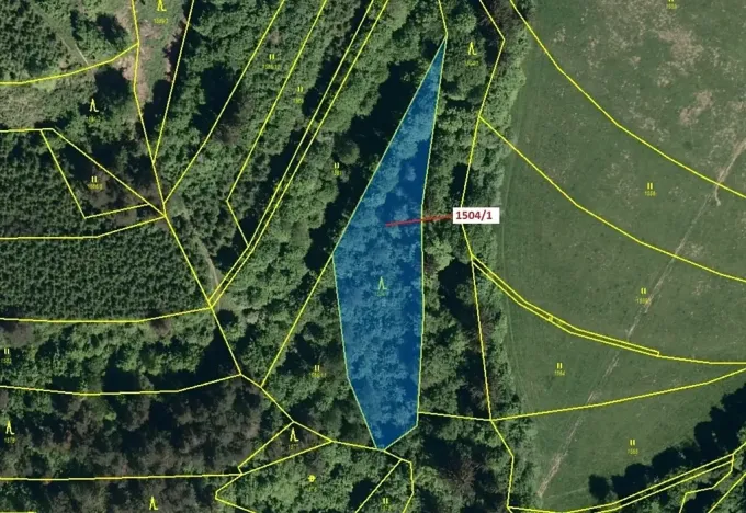 Dražba lesa, Hovězí, 2626 m2