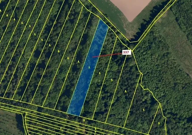 Dražba lesa, Hradčany-Kobeřice, 5963 m2