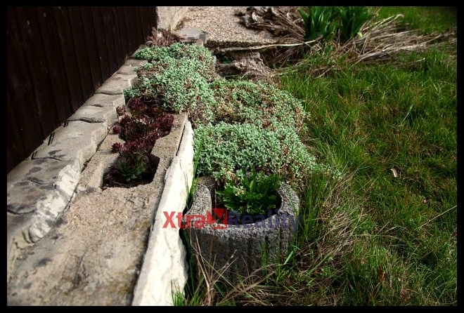 Prodej zahrady, Klášterec nad Ohří - Mikulovice, 303 m2