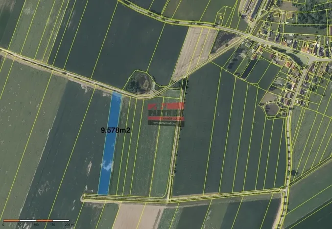 Prodej pole, Borkovice, 15132 m2