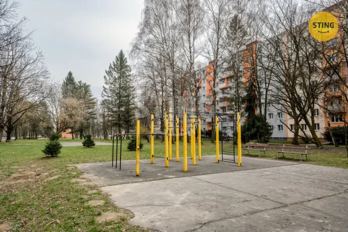 Prodej bytu 1+kk, Ostrava, Alžírská, 25 m2
