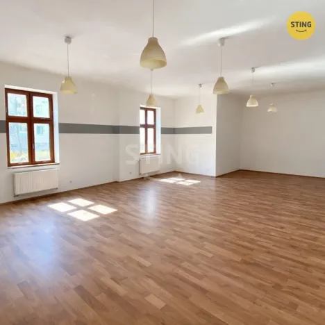 Pronájem obchodního prostoru, Opava - Předměstí, Kasárenská, 181 m2