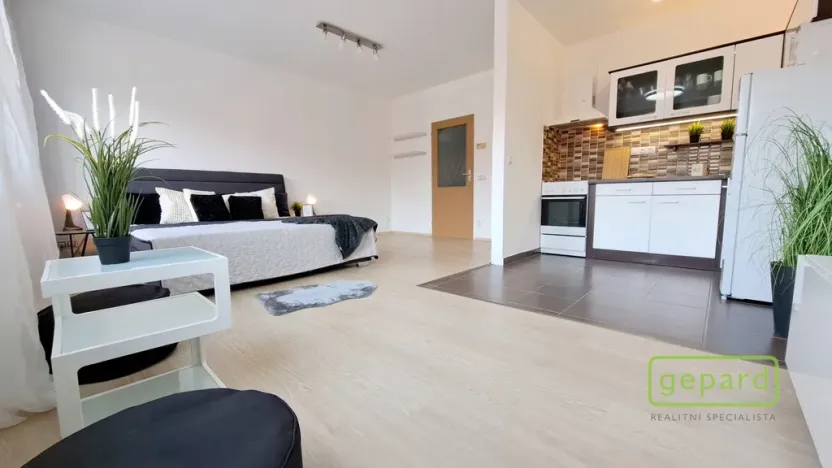 Pronájem bytu 1+kk, Brno, Keřová, 41 m2