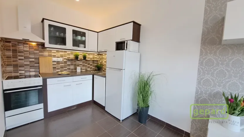 Pronájem bytu 1+kk, Brno, Keřová, 41 m2