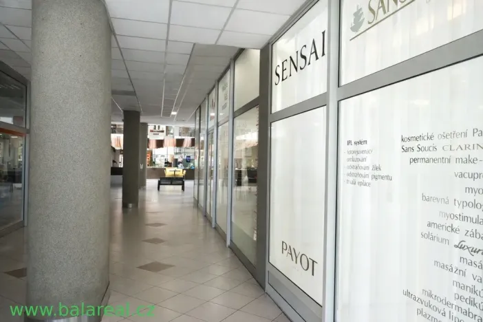 Pronájem obchodního prostoru, Brno - Zábrdovice, Příkop, 35 m2