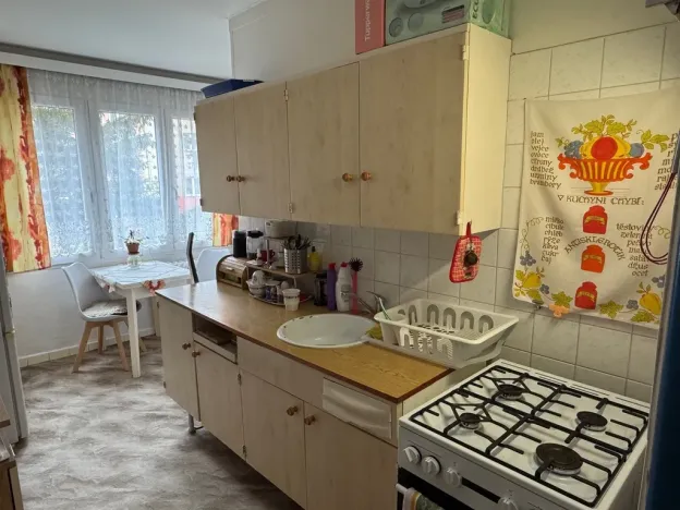 Prodej bytu 1+1, Cheb, Májová, 38 m2