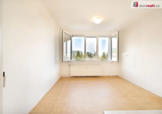 Prodej bytu 1+kk, Větřní, Šumavská, 19 m2