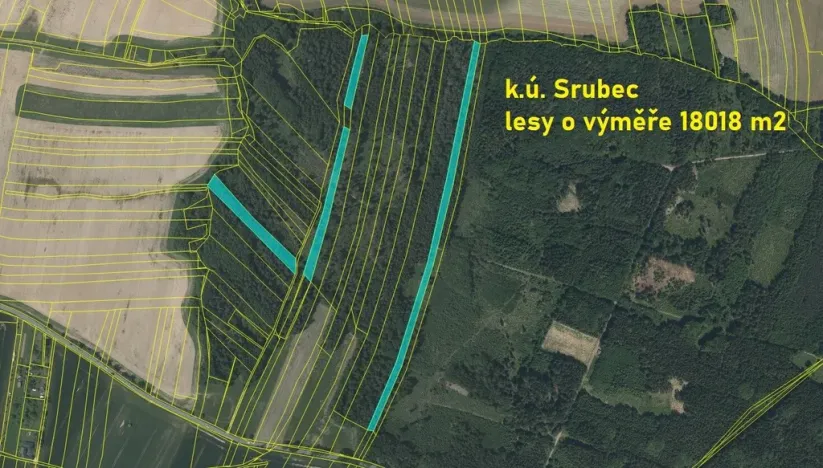 Prodej lesa, Srubec, Ledenická-Škarda, 18018 m2