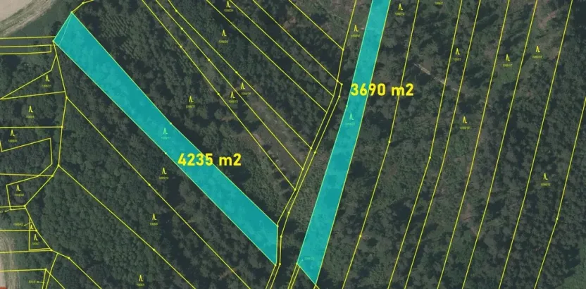 Prodej lesa, Srubec, Ledenická-Škarda, 18018 m2