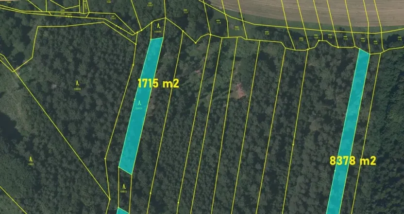 Prodej lesa, Srubec, Ledenická-Škarda, 18018 m2
