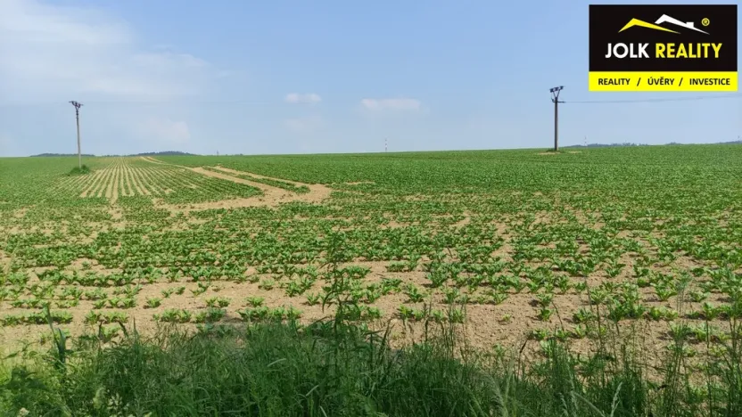 Prodej pozemku pro bydlení, Bělotín, 7268 m2