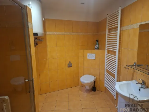 Pronájem bytu 2+kk, Slaný, Na Chmelnici, 52 m2