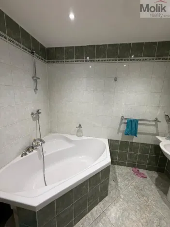 Pronájem výrobních prostor, Bílina - Chudeřice, Sadová, 1532 m2