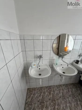 Pronájem obchodního prostoru, Bílina - Chudeřice, Sadová, 1532 m2