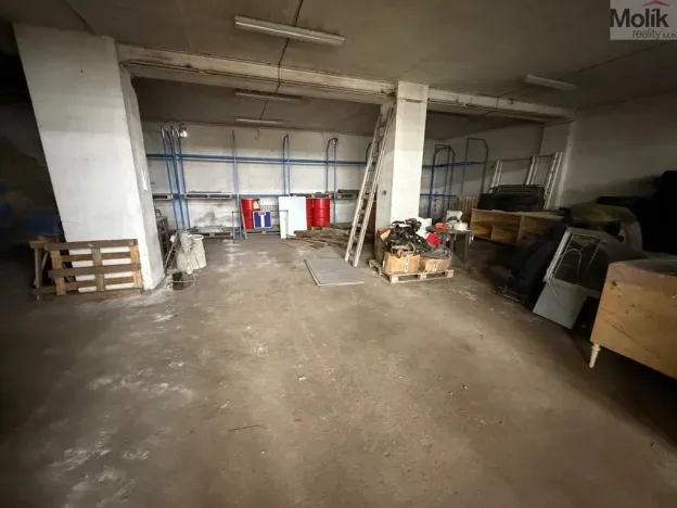 Pronájem obchodního prostoru, Bílina - Chudeřice, Sadová, 1532 m2