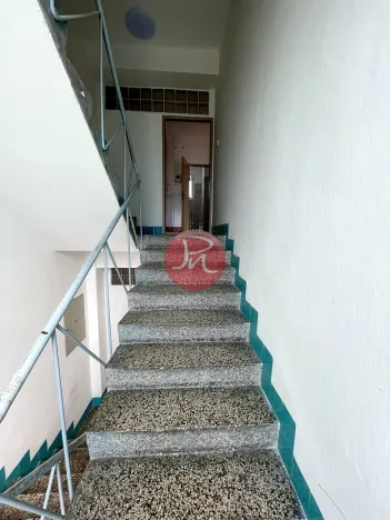 Pronájem obchodního prostoru, Ostrava, Sabinova, 425 m2