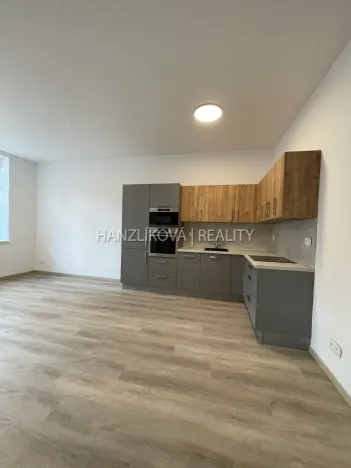 Pronájem bytu 2+kk, České Budějovice - České Budějovice 3, Nová, 52 m2