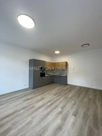 Pronájem bytu 2+kk, České Budějovice - České Budějovice 3, Nová, 52 m2