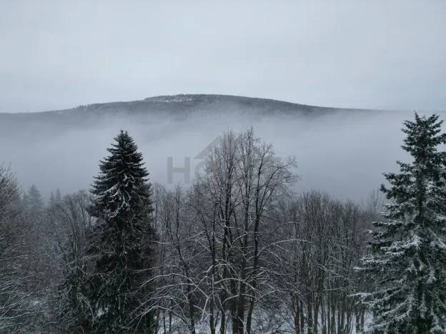 Prodej komerčního pozemku, Malá Úpa - Dolní Malá Úpa, 9164 m2