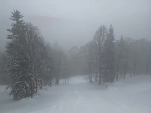 Prodej komerčního pozemku, Malá Úpa - Dolní Malá Úpa, 9164 m2