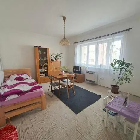 Pronájem bytu 1+1, Olomouc, Zeyerova, 40 m2