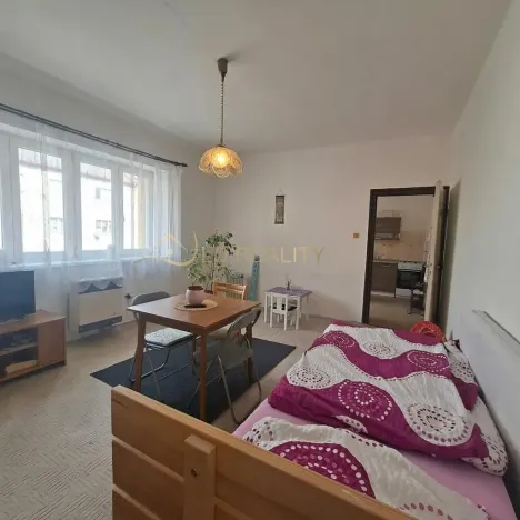 Pronájem bytu 1+1, Olomouc, Zeyerova, 40 m2