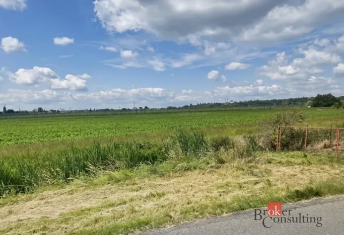 Prodej pozemku pro bydlení, Staňkovice, 4536 m2