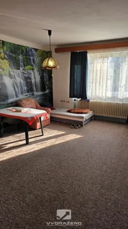 Prodej obchodního prostoru, Staré Město, 240 m2