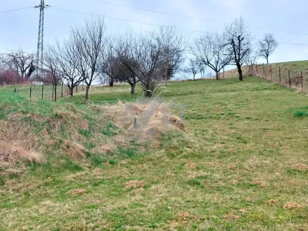 Prodej pozemku pro bydlení, Police, 1266 m2