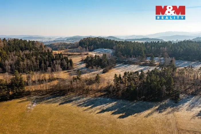 Prodej lesa, Nišovice, 7155 m2