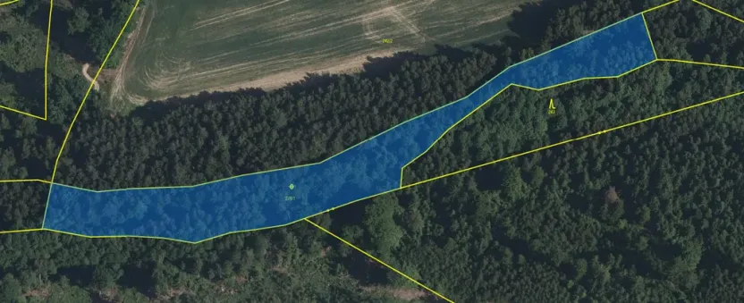 Prodej pozemku, Volfířov - Brandlín, 5958 m2