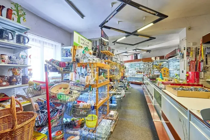 Prodej obchodního prostoru, Doksy, Panská, 270 m2