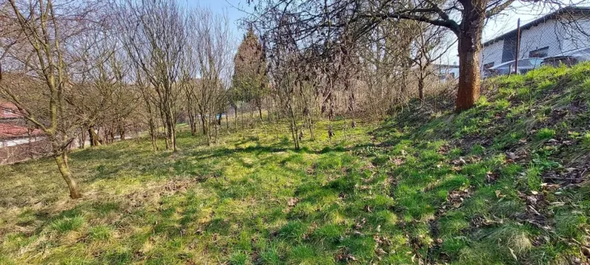 Prodej pozemku pro bydlení, Markvartovice, Dlouhá, 900 m2