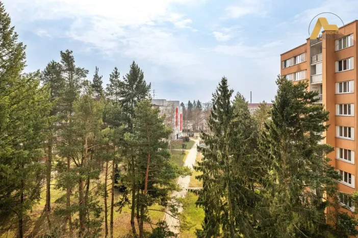 Prodej bytu 3+1, Písek - Budějovické Předměstí, Dr. M. Horákové, 71 m2