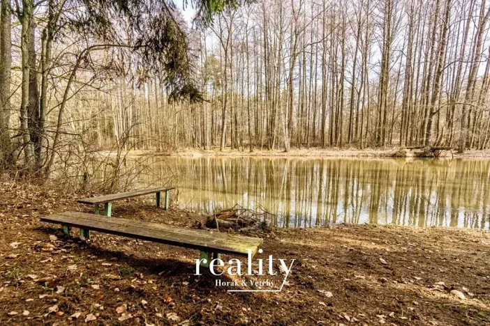 Prodej chaty, Lásenice, 50 m2