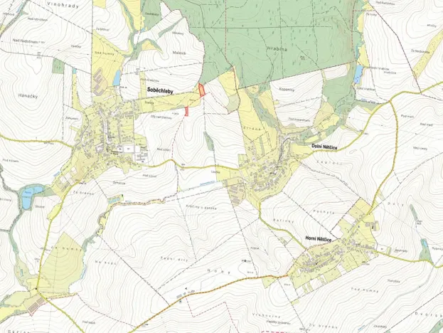 Prodej louky, Dolní Nětčice, 6221 m2