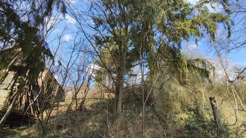 Prodej chalupy, Jickovice, 70 m2