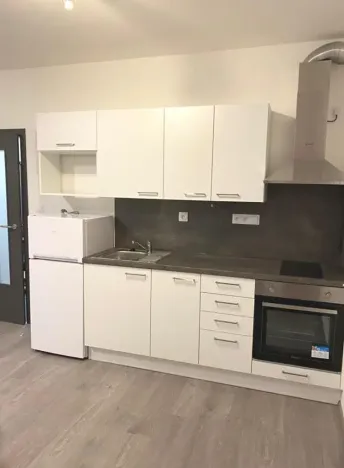 Pronájem bytu 1+kk, Brno, Hlinecká, 30 m2