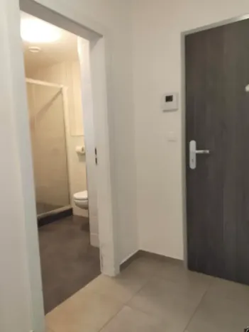 Pronájem bytu 1+kk, Plzeň, Klatovská třída, 47 m2