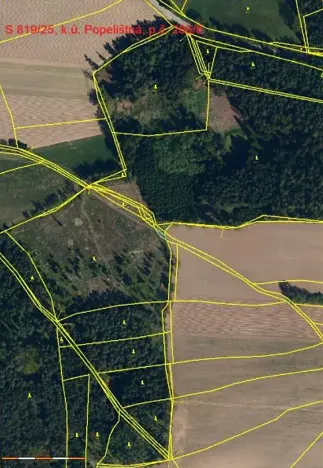 Prodej lesa, Červená Řečice, 48 m2