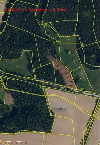 Prodej lesa, Červená Řečice, 214 m2