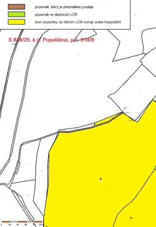 Prodej lesa, Červená Řečice, 496 m2